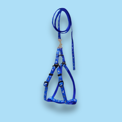 Puppy Leash & Harness (10 mm)