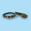 Poly Print Padded Leash & Collar