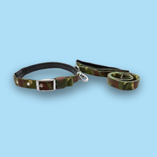 Poly Print Padded Leash & Collar