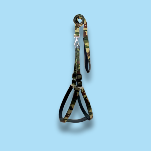 Poly Print Padded Leash & Harness