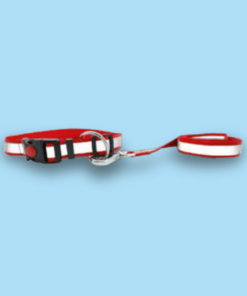 Reflective Leash & Collar