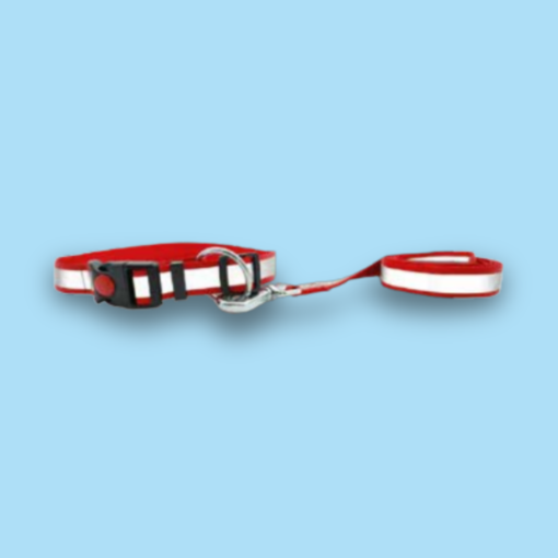 Reflective Leash & Collar