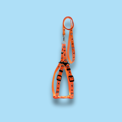 Puppy Leash & Harness (15 mm)