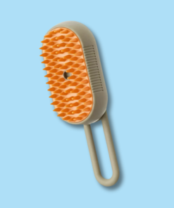 Spray Brush with Handle